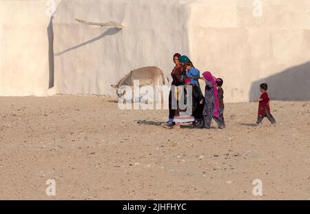 Die Cholistan-Wüste, auch lokal als Rohi bekannt, ist eine Wüste im südlichen Teil von Punjab, Pakistan, die Teil der Greater Thar Desert ist Stockfoto