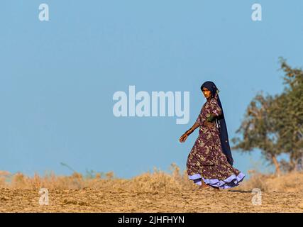 Die Cholistan-Wüste, auch lokal als Rohi bekannt, ist eine Wüste im südlichen Teil von Punjab, Pakistan, die Teil der Greater Thar Desert ist Stockfoto