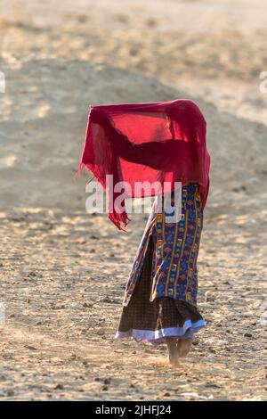 Die Cholistan-Wüste, auch lokal als Rohi bekannt, ist eine Wüste im südlichen Teil von Punjab, Pakistan, die Teil der Greater Thar Desert ist Stockfoto