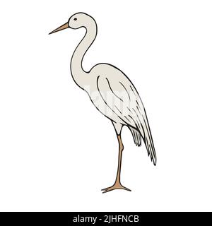 Vektor Hand gezeichnete Doodle Skizze farbigen Reiher Stock Vektor