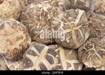 Getrocknete Pilze Nahaufnahme Nahrung Hintergrund Textur. Stockfoto