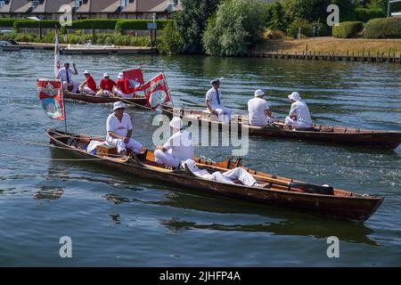 Swan-Uppers checken über ein Cygnet in der Nähe von Chertsey in Surrey, während der alten Tradition des Swan-Uppings, der jährlichen Zählung der Schwanenpopulation an der Themse. Bilddatum: Montag, 18. Juli 2022. Stockfoto