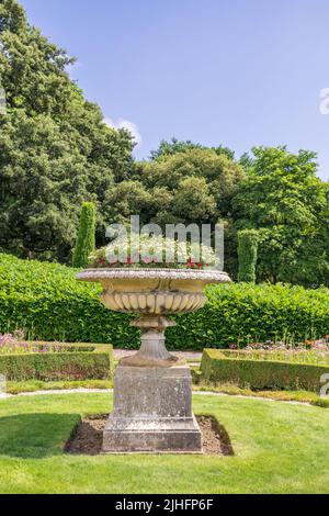 tazza-Blumentopf aus edwardianischem Stein mit wachsenden Blumen in einem öffentlichen Park, Großbritannien. Stockfoto