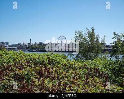 Die Wasserlinie des rechten Ufers mit dem Riesenrad und anderen berühmten Gebäuden der Stadt Antwerpen in Belgien Stockfoto