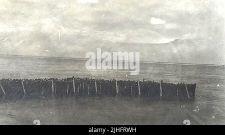 New Jersey - Barnegat. Gebogener Pfahlsteg B, der nach Nordwesten auf den äußeren oder gekrümmten Teil vom bestehenden nördlichen Ende der westlichen Stützmauer blickt. Stockfoto