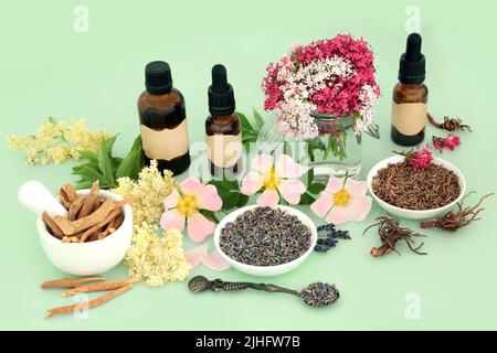 Heilkräuter- und Blumenpräparat für naturheilkundliche pflanzliche Medizin mit Ashwagandha Ginseng, Baldrian, Holunderblüte, Wildrose und Lavendel Stockfoto