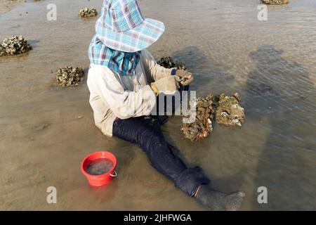 Ko Phangan, Thailand, 15. März 2022: Stockfoto