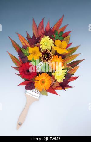 Herbst- und Thanksgiving-Pinsel-Komposition aus bunten Blättern und Blumen. Surreale Naturkomposition mit abstraktem Spritzer auf grauem Farbverlauf Stockfoto