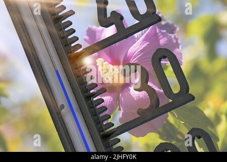 Symbolbild Hitzewelle: Das Thermometer zeigt Temperaturen von fast 40 Grad an Stockfoto