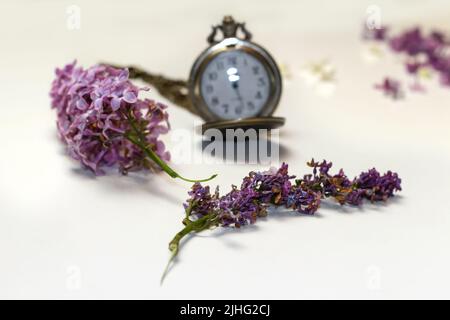 Unschärfe-Effekte für alte Uhren. Konzept des Vergehens, die Uhr zerfällt in Stücke. Analoge Uhr mit Dispergiereffekt. Konzept Leben und Tod. Flieder Stockfoto