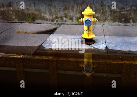 Gelber Hydrant am Stadtgebäude, der sich in einer Wasserpfütze in der Rinne der Straße widerspiegelt Stockfoto