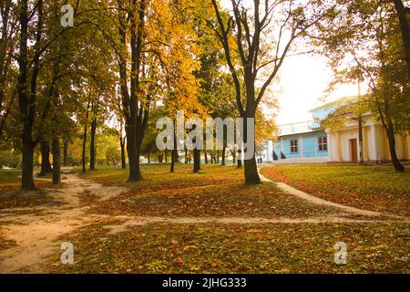 Volodymyr, Ukraine - 13.10.2022: Sonnenuntergang im Herbstpark. Herbstlandschaft. Bäume mit bunten Blättern auf dem Gras im Park. Sonneneinstrahlung früh Stockfoto