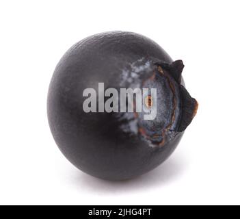 Heidelbeerfrucht isoliert auf weißem Hintergrund Stockfoto