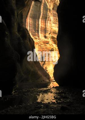 Der goldene Eingang. Die goldene Sandsteinklippe, die sich in Willis Creek widerspiegelt, aus einem Slot Canyon, Utah, gesehen Stockfoto