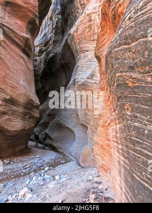 Zwei Wanderer, tief in einem der engen Slot Canyons von Willis Creek in Utah, USA, Stockfoto