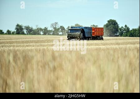 REGION ZAPORIZHZHIA, UKRAINE - 17. JULI 2022 - Während der Erntezeit wird Ein LKW auf dem Feld gesehen, Region Zaporizhzhia, Südosten der Ukraine. Dies Stockfoto