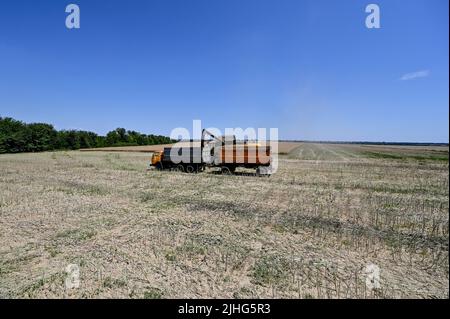 REGION SAPORISCHSCHSCHJA, UKRAINE - 17. JULI 2022 - die Erntezeit in der Region Saporischschschschja im Südosten der Ukraine ist in vollem Gange. Dieses Foto kann es nicht sein Stockfoto