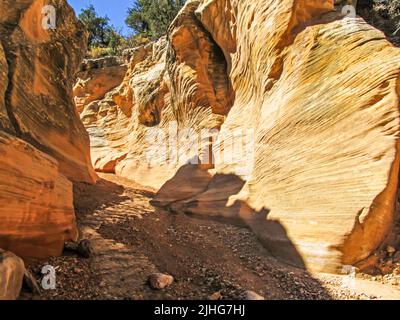 Sonnenlicht, das Gold von den Sandsteinklippen einer der Willis Creek Slot Canyons in Utah reflektiert Stockfoto