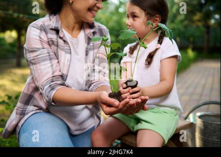 Konzentrieren Sie sich auf die Hände von Mutter und Tochter, die sich gegenseitig anlächeln, während Sie gemeinsam im Öko-Gemüsegarten der Familie gärten Stockfoto