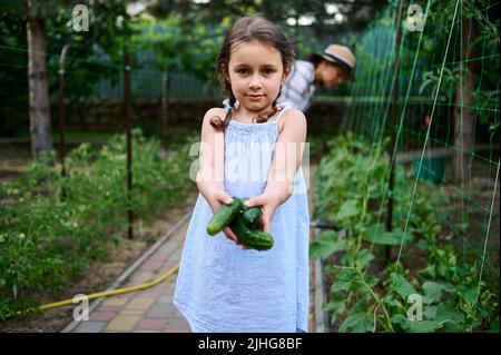 Schönes Kind, niedliches kleines Mädchen hält reife Gurken und hilft ihrer Mutter bei der Ernte von Gemüse in Bio-Bauernhof Stockfoto