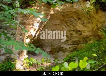 Sandsteinhöhle in einem grünen Wald, in dem warmes Sommersonnenlicht im Inneren scheint. Stockfoto