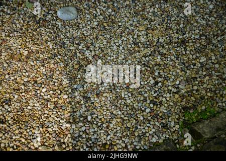 Klare weiße Kieselsteine. Kleine Steine auf dem Boden. Draufsicht auf natürlichen bunten Kies am Sommerstrand Stockfoto