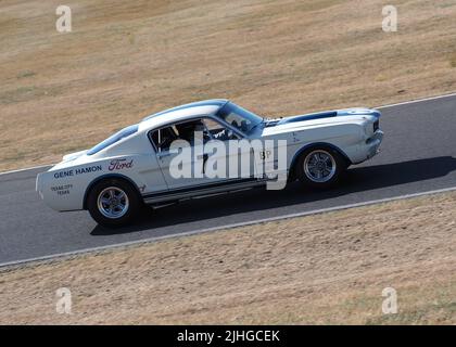 Shelby Mustang GT350 Stockfoto