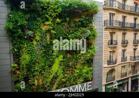 Paris, Frankreich, Grüne Mauer an der Fassade des französischen Kaufhauses BHV Homme im Marais Stockfoto