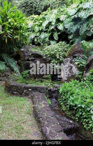 Ein Teich, der mit Seerosen gefüllt ist, die in einen künstlichen Bach fließen, der aus vulkanischem Gestein entstanden ist und von tropischen Pflanzen umgeben ist, in den Allerton Gardens in Stockfoto