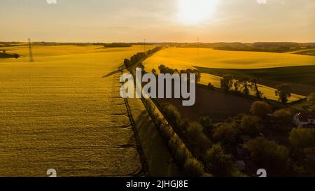 Wunderschöne Landschaft mit der hellen Sonne, die hell über Rapsfeldern scheint Stockfoto
