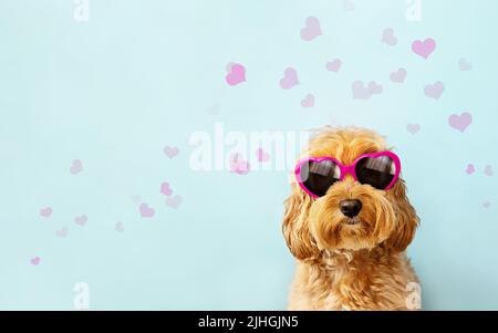 Netter Hund, der den Valentinstag feiert, trägt eine Sonnenbrille in rosa herzförmiger Form am Valentinstag Stockfoto