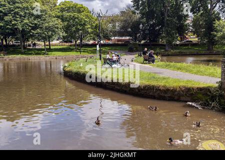 Menschen, die sich in den Trenance Gardens in Cornwall in England in Großbritannien entspannen möchten. Stockfoto