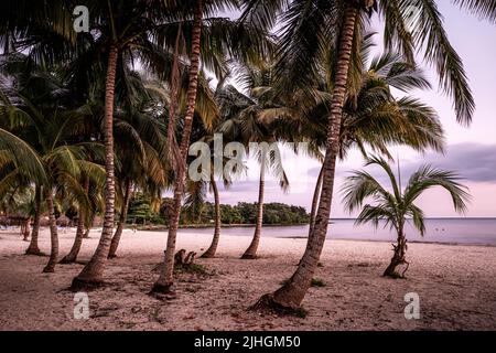 Playa Larga, Matanzas, Cuba, Nordamerika Stockfoto