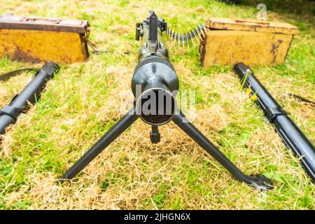 Blick auf das Fass eines deutschen Maschinengewehrs aus dem zweiten Weltkrieg, M42. Pistole auf Gras mit Schussfutter. Enger Fokus. Stockfoto