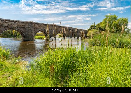 White Mill Bridge ist eine normannische Brücke aus rotem Sandstein und weißem Kalkstein, die an einem sonnigen Tag den Fluss stour mit grünen Algen überquert. Stockfoto