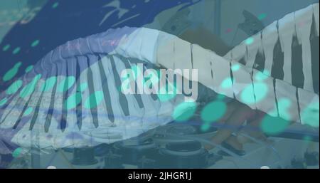 Bild von dna-Strang und Datenverarbeitung über kaukasischem Wissenschaftler im Labor Stockfoto