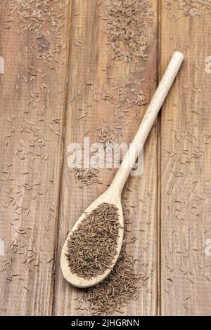 Fenchelsamen in Holzlöffel. Speicherplatz kopieren. Draufsicht. Holzhintergrund Stockfoto