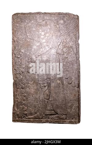 Vogelkopf-Gottheit durch den heiligen Baum - Relief aus dem Palast von Ashurnasirpal II in Kalhu, (Nimrud) - Alabaster - IX Jahrhundert B.C. Hermitage Museum Stockfoto