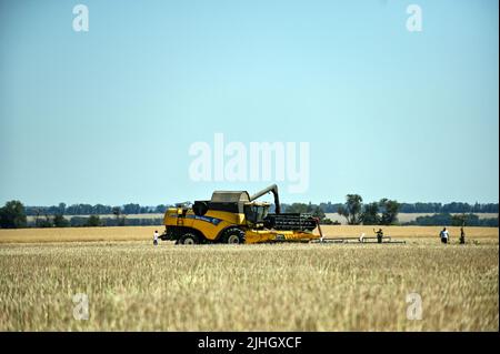 Zaporizhzhia Region, Ukraine - 17. Juli 2022 - Ein Mähdrescher dedumps Weizen auf dem Feld, Saporizhzhia Region, Südosten der Ukraine. Dieses Foto kann nicht in der Russischen Föderation verteilt werden. Foto von Dmytro Smolyenko/Ukrinform/ABACAPRESS.COM Stockfoto