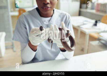 Abgeschnittene Aufnahme einer Tierärztin mit Schlange in der Tierarztklinik, Reptiliengesundheitskonzept, Kopierraum Stockfoto