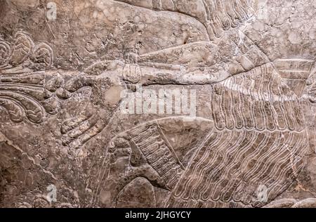 Geflügelte Gottheit durch den heiligen Baum - Detail. Relief aus dem Palast von Ashurnasirpal II in Kalhu, (Nimrud) - Alabaster - IX Jahrhundert B.C. Hermitage Museum Stockfoto