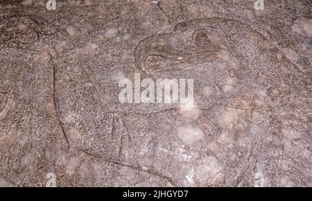 Vogelkopf-Gottheit durch den heiligen Baum - Relief aus dem Palast von Ashurnasirpal II in Kalhu, (Nimrud) - Alabaster - IX Jahrhundert B.C. Hermitage Museum Stockfoto