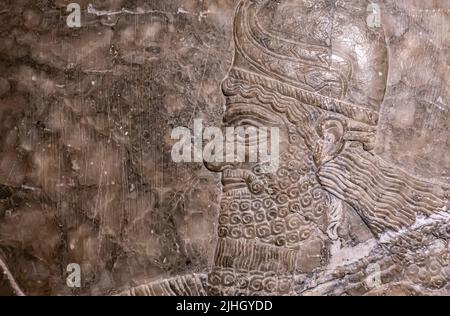 Geflügelte Gottheit durch den heiligen Baum - Detail. Relief aus dem Palast von Ashurnasirpal II in Kalhu, (Nimrud) - Alabaster - IX Jahrhundert B.C. Hermitage Museum Stockfoto