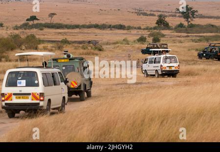 Touristen auf einer Pirschfahrt nach drei Geparden in Maasai Mara, Kenia. Stockfoto