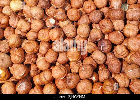 Die vielen Haselnüsse ohne Schale als Nahrungshintergrund. Nahaufnahme. Stockfoto