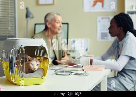 Nahaufnahme einer exotischen haarlosen Katze im Tierhalter in der Tierarztklinik mit dem Besitzer, der den Tierarzt konsultiert, im Hintergrund, Kopierraum Stockfoto