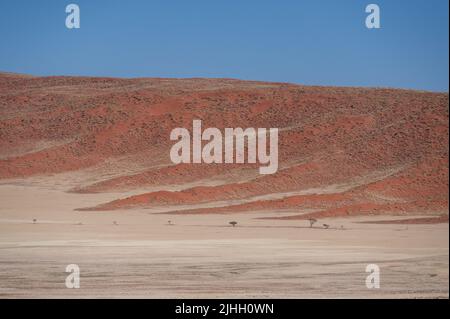 Sanddünen in der Kalahari-Wüste, Namibia, Afrika Stockfoto