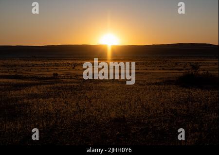 Wunderschöner Sonnenuntergang über der malerischen kalahari-Landschaft in Namibia Stockfoto