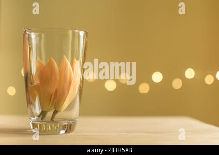 Son champa auch bekannt als Golden Champak, Champa, Son chafa in Glas gehalten für seinen Duft in zu Hause. Gelbes Bokeh im Hintergrund und Platz zum Kopieren von Text Stockfoto