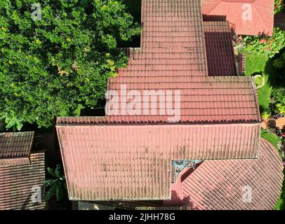 Rotes Lehm-Hausdach mit grünen Pilzflecken Luftdrohne Draufsicht Stockfoto